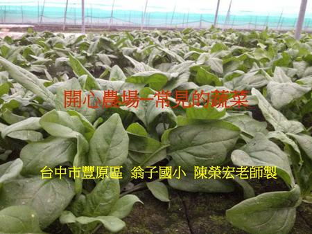 開心農場─常見的蔬菜 台中市豐原區 翁子國小 陳榮宏老師製.