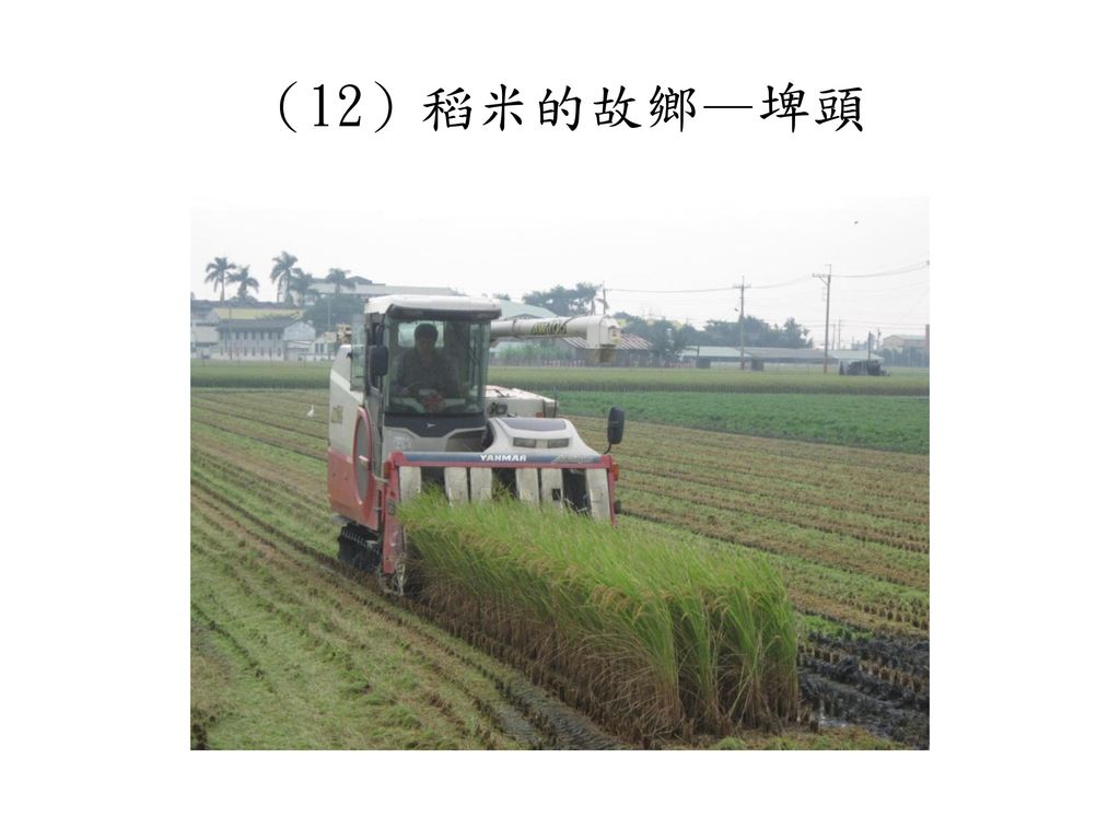 （12）稻米的故鄉—埤頭