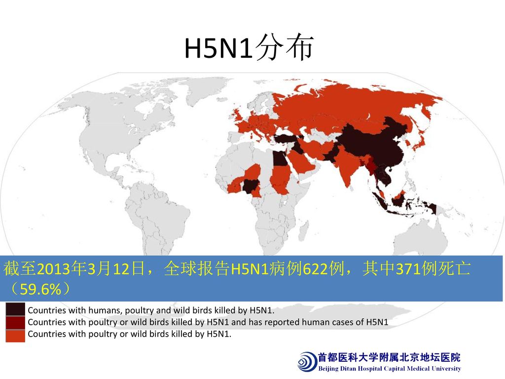 H5N1分布 截至2013年3月12日，全球报告H5N1病例622例，其中371例死亡（59.6%）