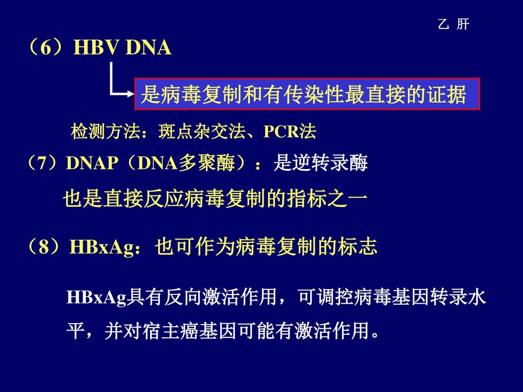 （6）HBV DNA 是病毒复制和有传染性最直接的证据 也是直接反应病毒复制的指标之一 （8）HBxAg：也可作为病毒复制的标志