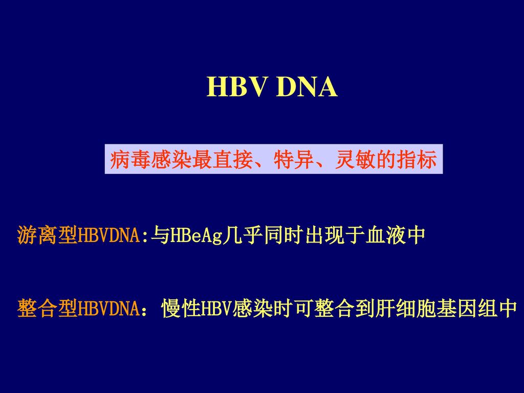 HBV DNA 病毒感染最直接、特异、灵敏的指标 游离型HBVDNA:与HBeAg几乎同时出现于血液中