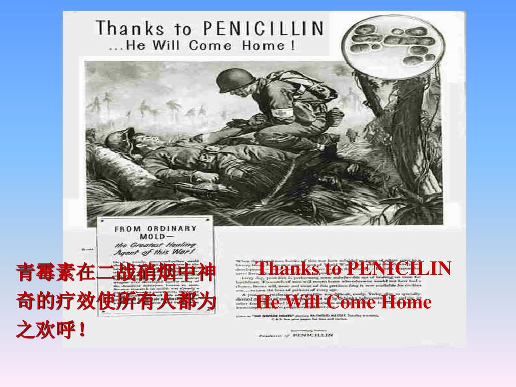 Thanks to PENICILIN He Will Come Home 青霉素在二战硝烟中神奇的疗效使所有人都为之欢呼！