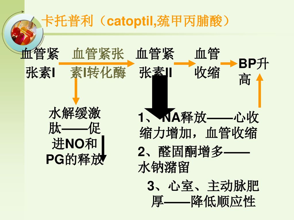 卡托普利（catoptil,巯甲丙脯酸） 血管紧. 张素I. 血管紧张. 素I转化酶. 血管紧. 张素II. 血管. 收缩. BP升高. 水解缓激肽——促进NO和PG的释放. 1、 NA释放——心收缩力增加，血管收缩.