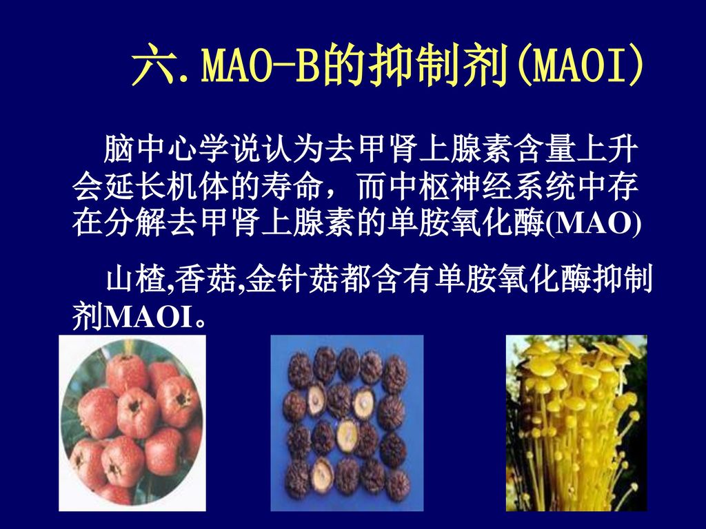 六.MAO-B的抑制剂(MAOI) 脑中心学说认为去甲肾上腺素含量上升会延长机体的寿命，而中枢神经系统中存在分解去甲肾上腺素的单胺氧化酶(MAO) 山楂,香菇,金针菇都含有单胺氧化酶抑制剂MAOI。