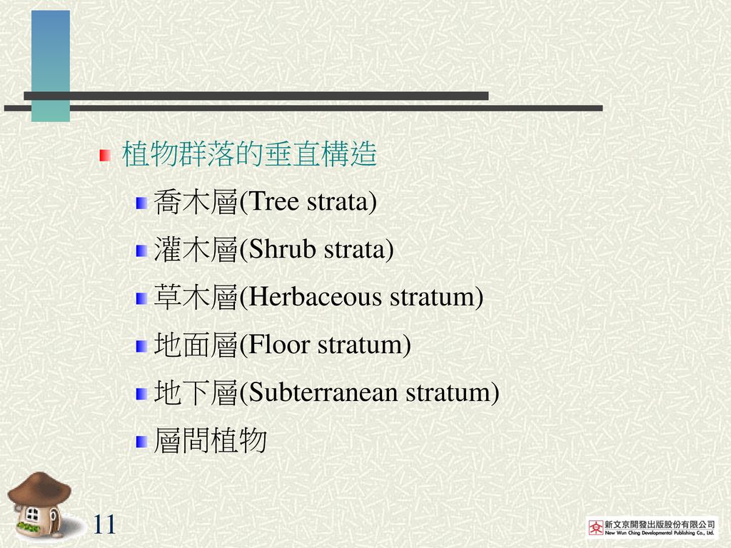 植物群落的垂直構造 喬木層(Tree strata) 灌木層(Shrub strata) 草木層(Herbaceous stratum) 地面層(Floor stratum) 地下層(Subterranean stratum)