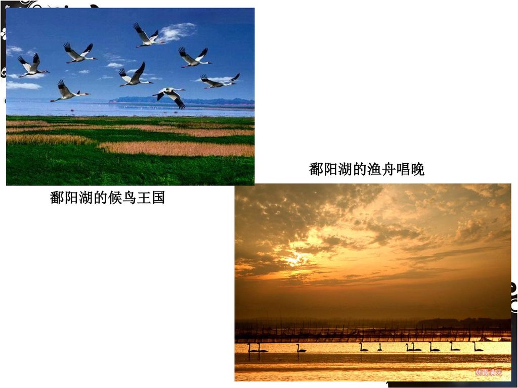 鄱阳湖的渔舟唱晚 鄱阳湖的候鸟王国
