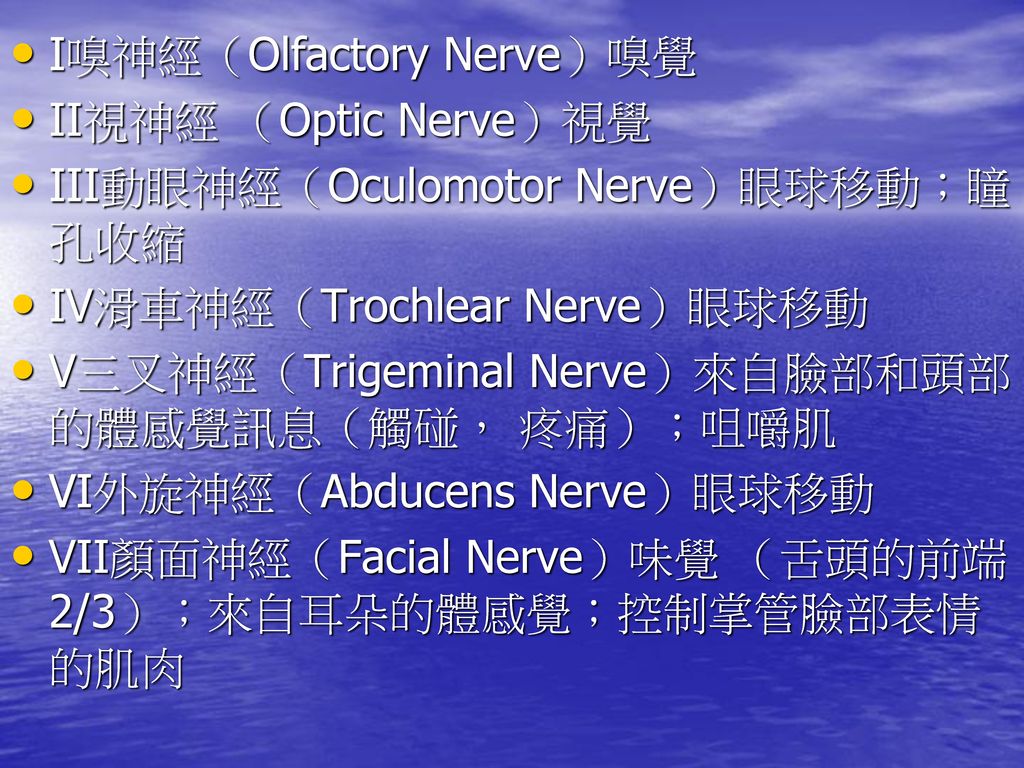 I嗅神經（Olfactory Nerve）嗅覺