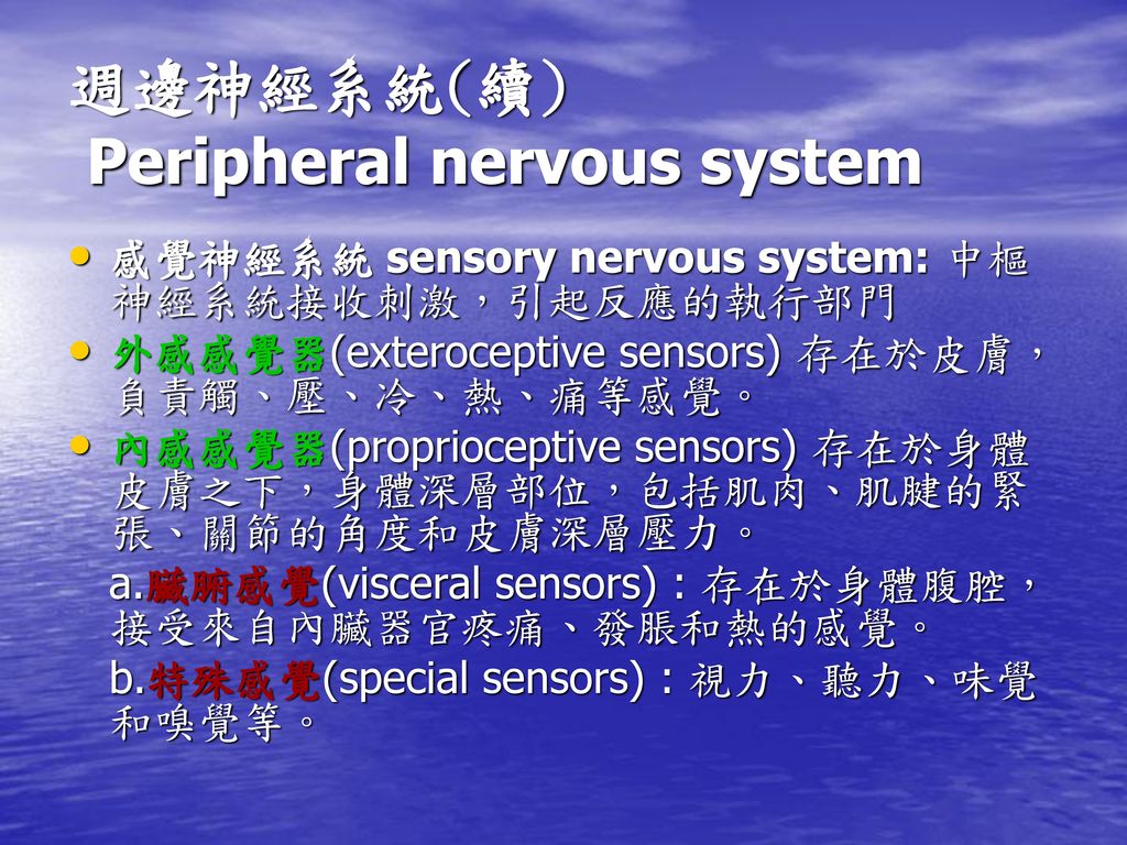 週邊神經系統(續) Peripheral nervous system