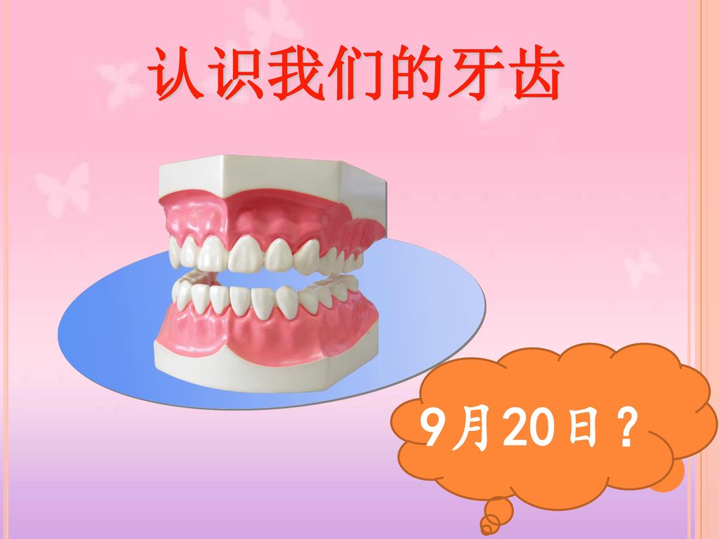 认识我们的牙齿 9月20日？