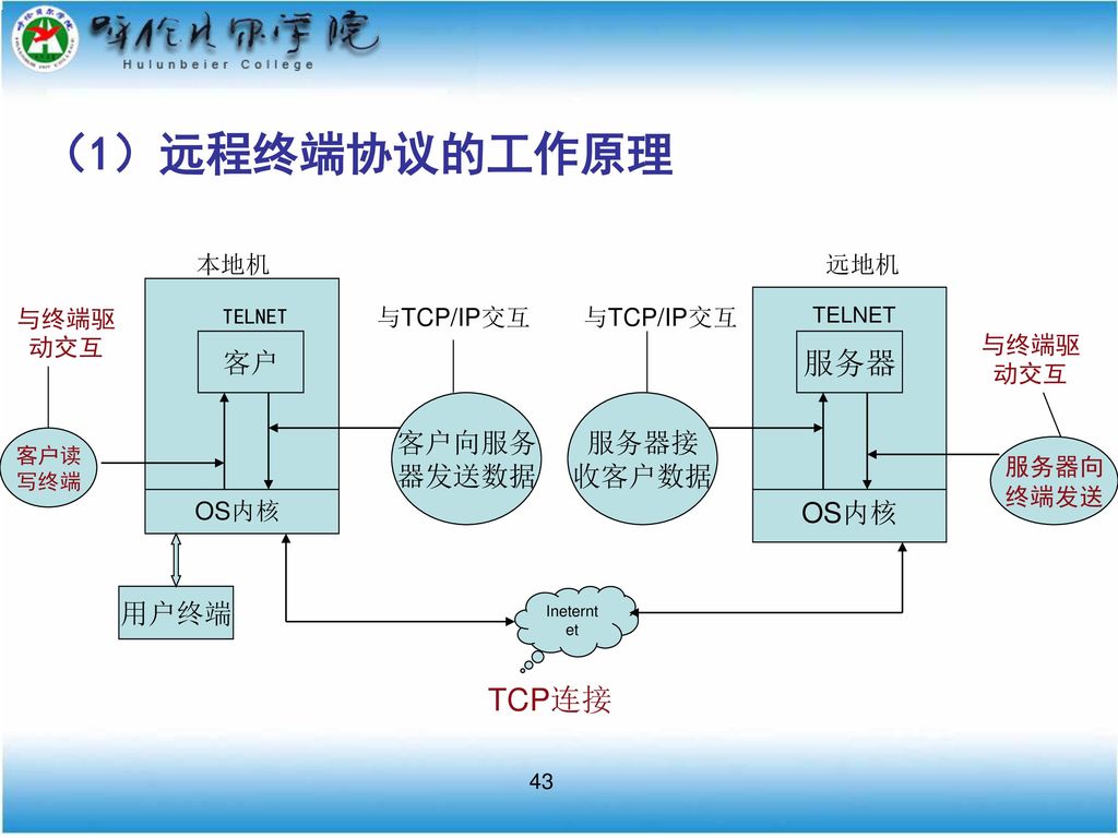 （1）远程终端协议的工作原理 服务器 TCP连接 客户 用户终端 客户向服务 器发送数据 服务器接 收客户数据 服务器向 终端发送 OS内核