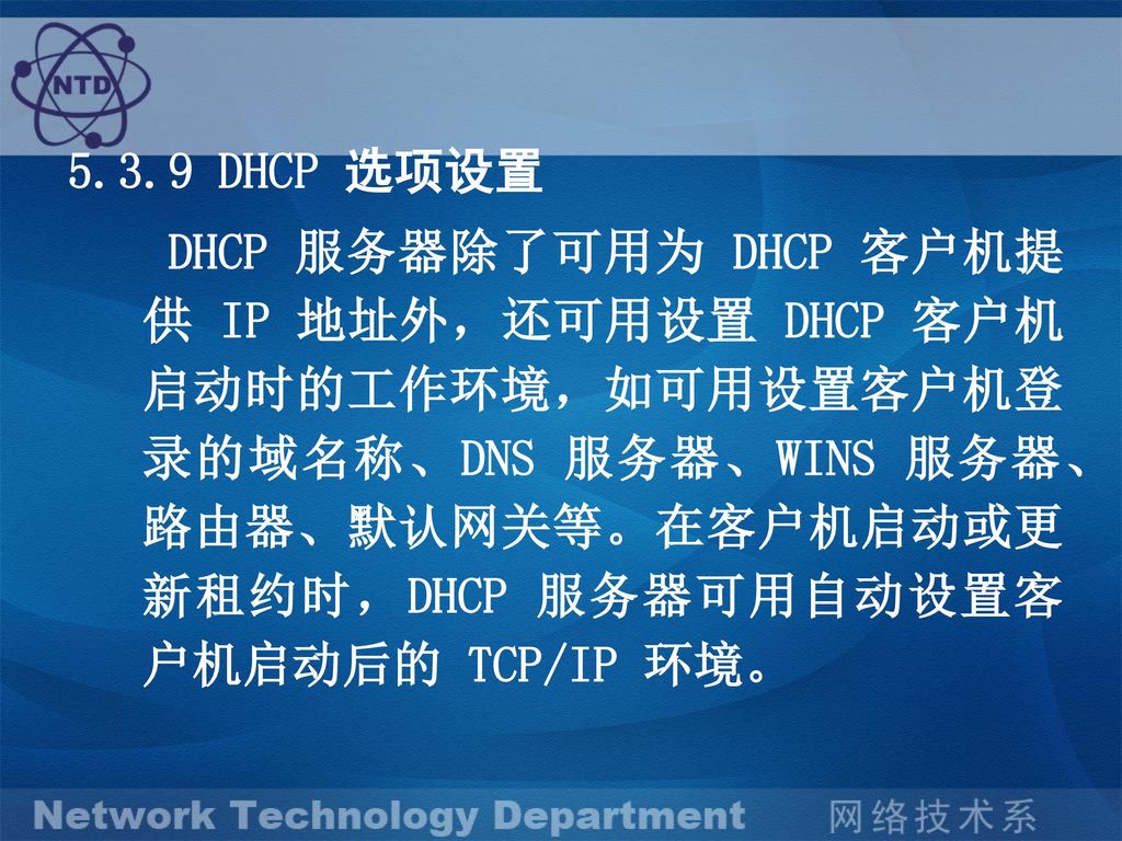 5.3.9 DHCP 选项设置