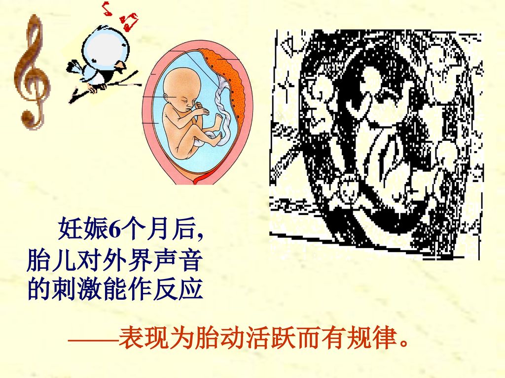 妊娠6个月后,胎儿对外界声音的刺激能作反应 ——表现为胎动活跃而有规律。