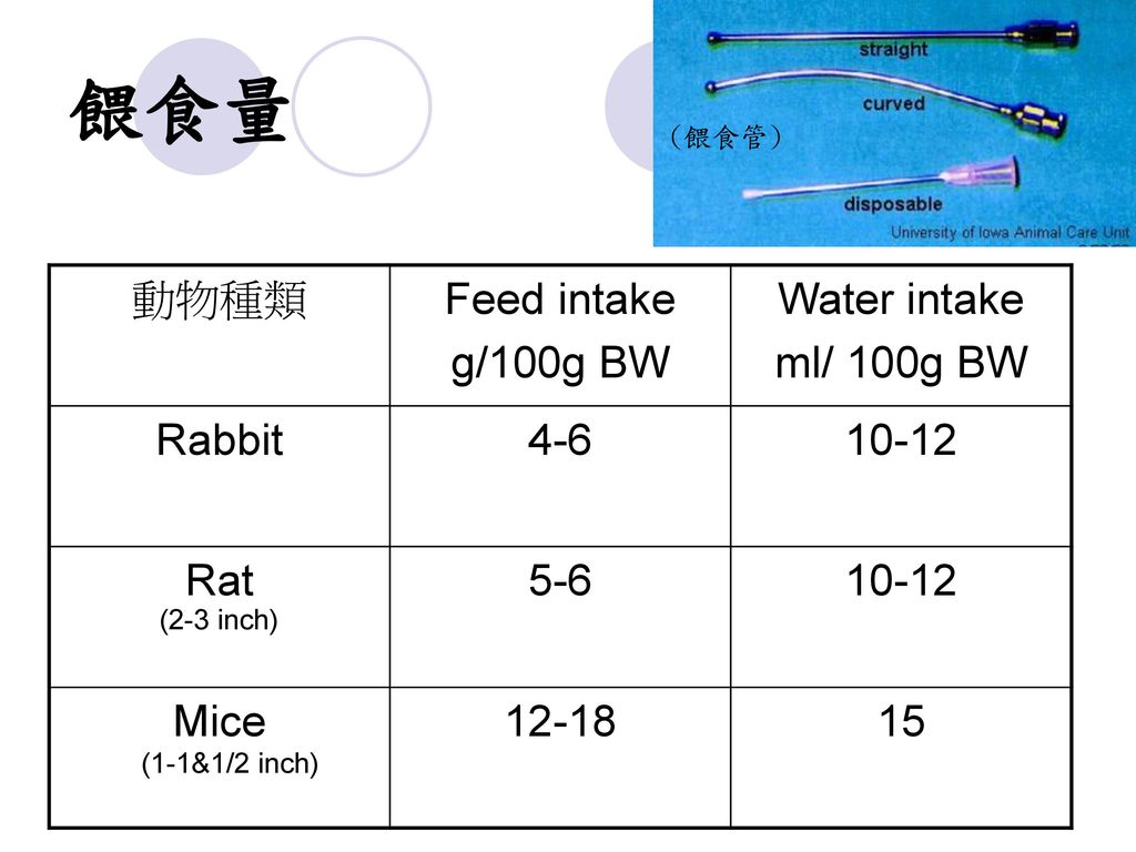 餵食量 動物種類 Feed intake g/100g BW Water intake ml/ 100g BW Rabbit 4-6