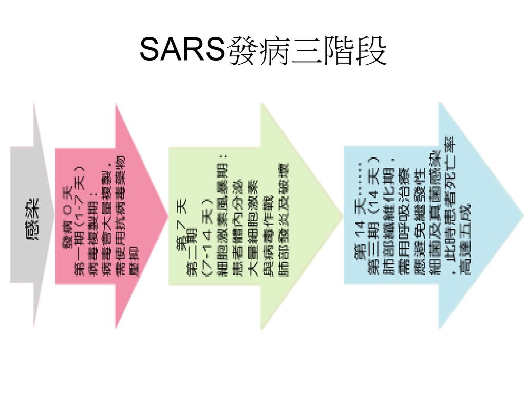 SARS發病三階段