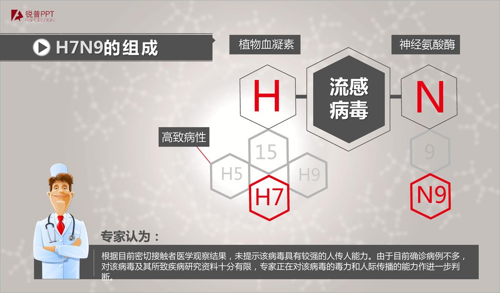 H N N9 H7 流感病毒 15 9 H7N9的组成 H5 H9 专家认为： 植物血凝素 神经氨酸酶 高致病性