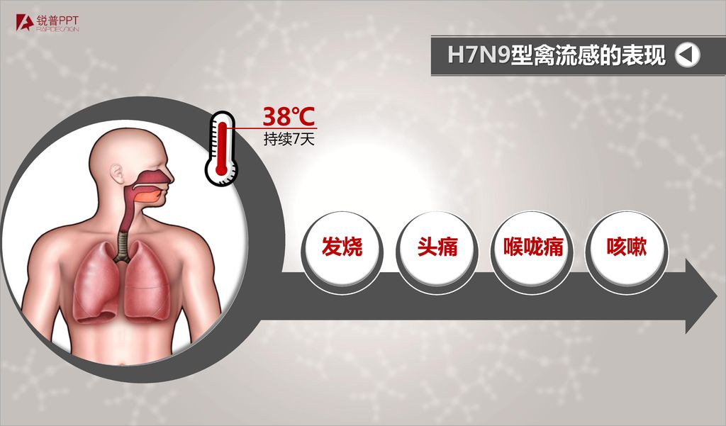 H7N9型禽流感的表现 持续7天 38℃ 发烧 头痛 喉咙痛 咳嗽