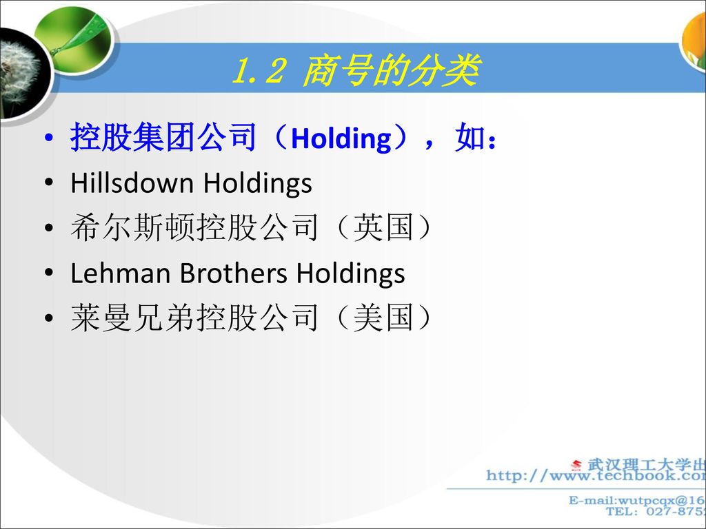 1.2 商号的分类 控股集团公司（Holding），如： Hillsdown Holdings 希尔斯顿控股公司（英国）