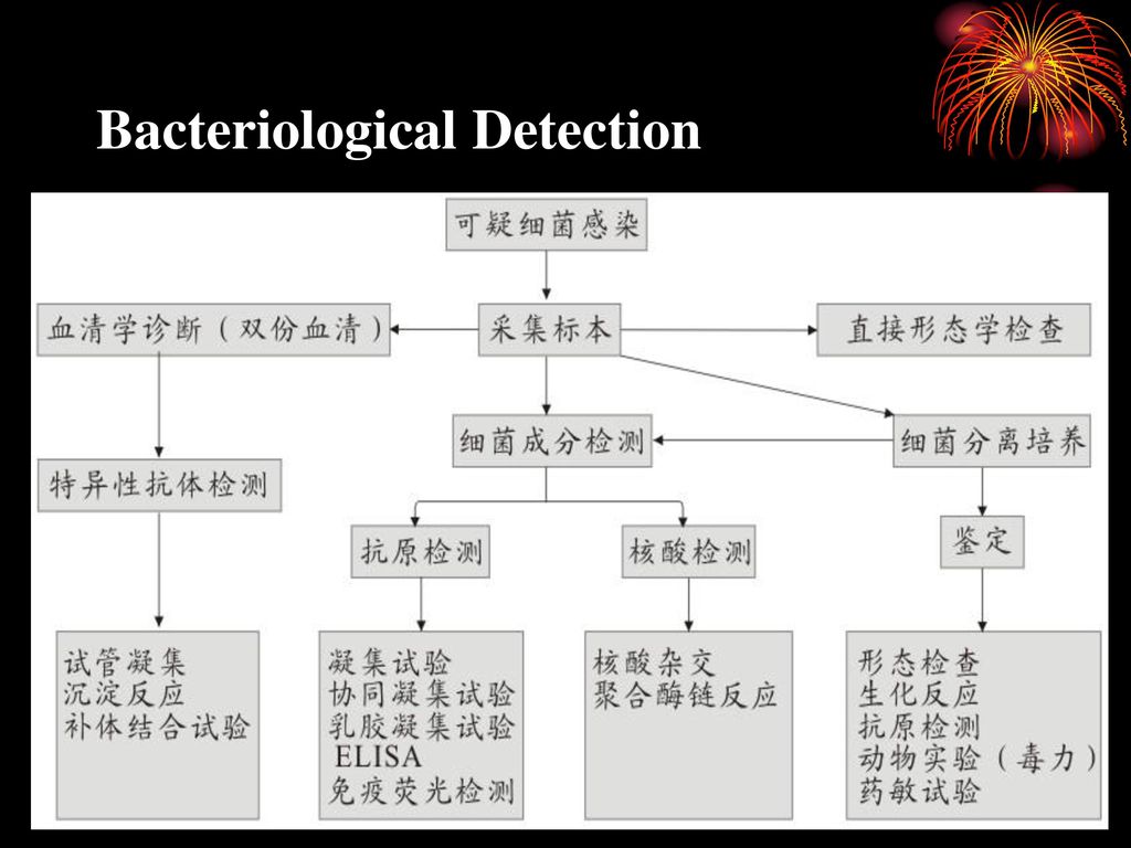 Bacteriological Detection