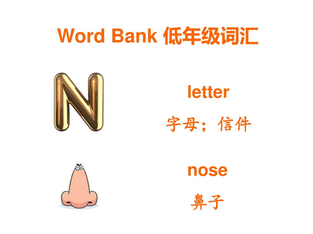 Word Bank 低年级词汇 letter 字母；信件 nose 鼻子