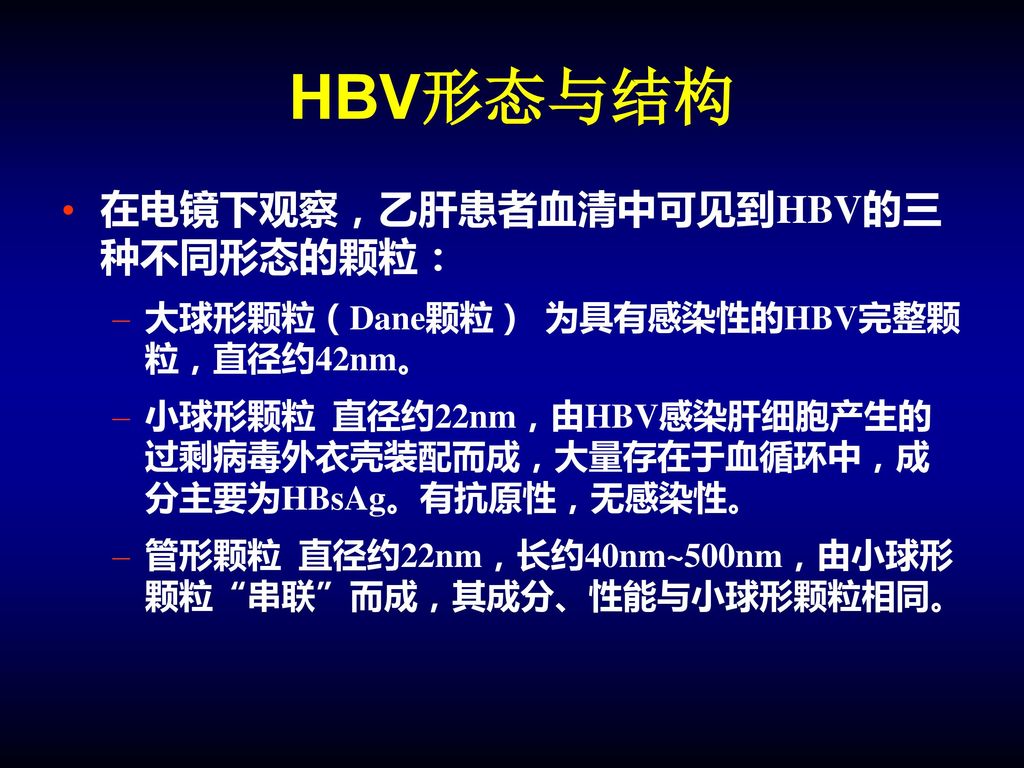 HBV形态与结构 在电镜下观察，乙肝患者血清中可见到HBV的三种不同形态的颗粒：