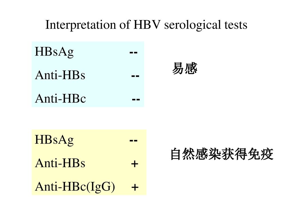 Interpretation of HBV serological tests