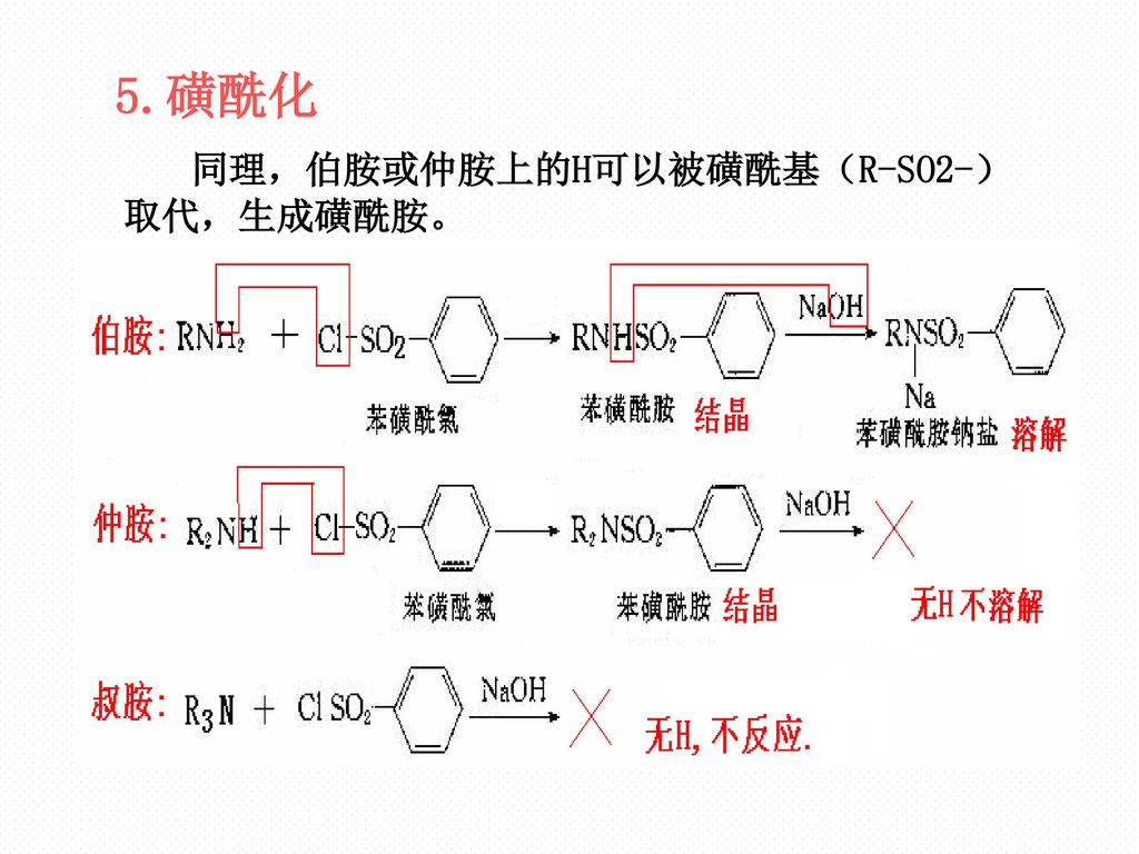 5.磺酰化 同理，伯胺或仲胺上的H可以被磺酰基（R-SO2-）取代，生成磺酰胺。
