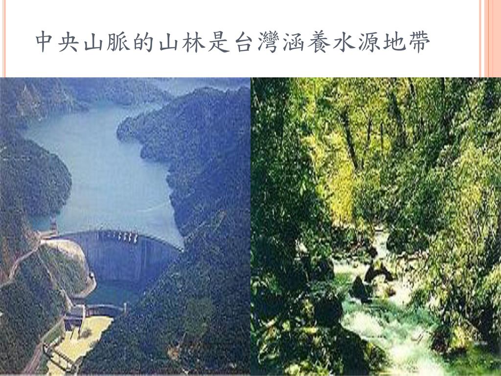 中央山脈的山林是台灣涵養水源地帶