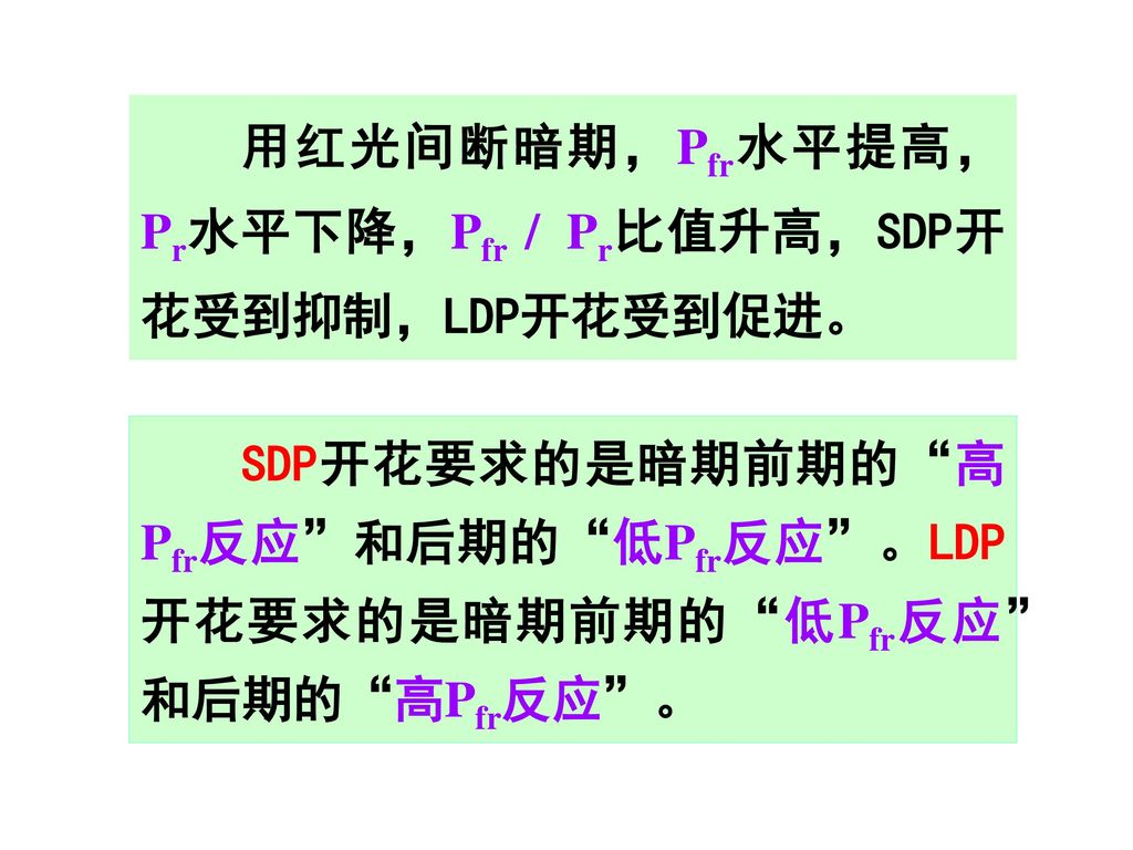 用红光间断暗期，Pfr水平提高， Pr水平下降，Pfr / Pr比值升高，SDP开花受到抑制，LDP开花受到促进。