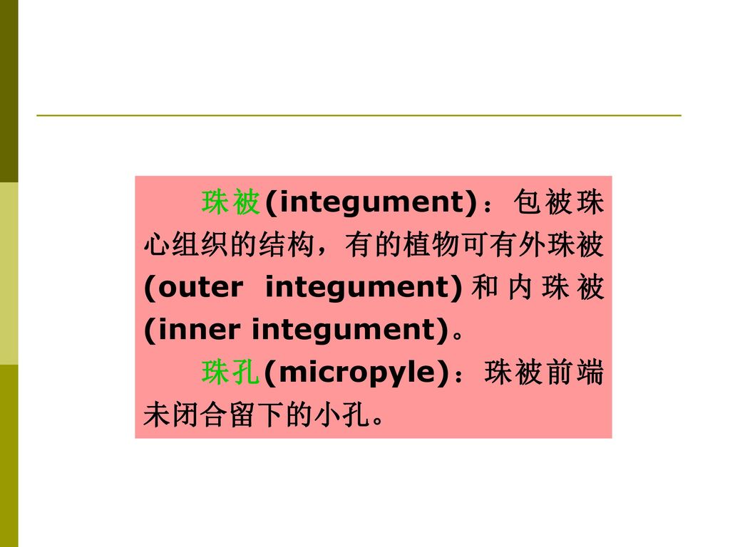 珠被(integument)：包被珠心组织的结构，有的植物可有外珠被(outer integument)和内珠被(inner integument)。