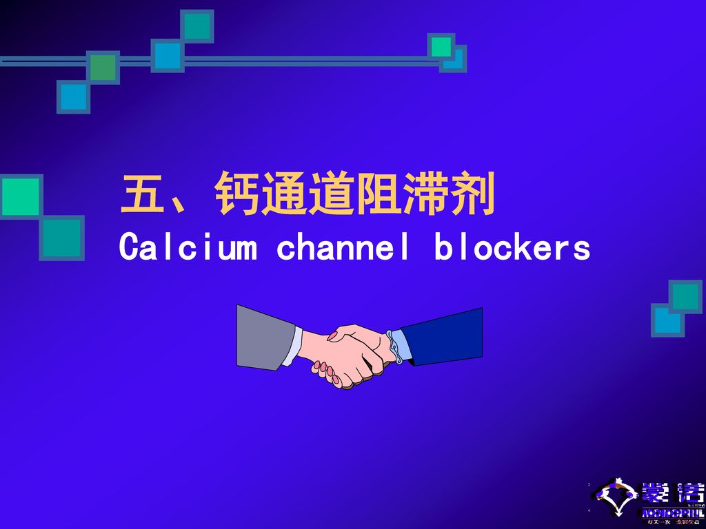 五、钙通道阻滞剂 Calcium channel blockers