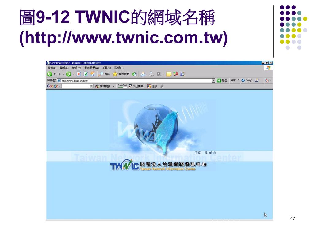 圖9-12 TWNIC的網域名稱 (