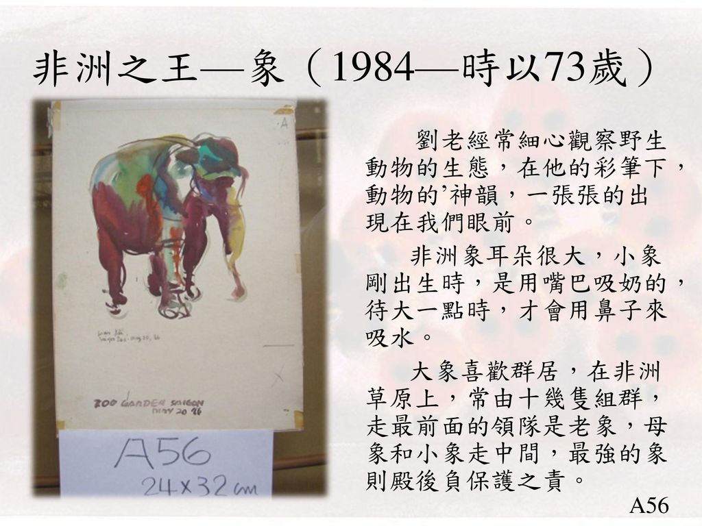 非洲之王—象（1984—時以73歲）