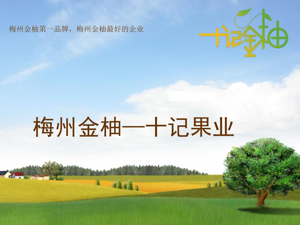 梅州金柚第一品牌，梅州金柚最好的企业   梅州金柚—十记果业