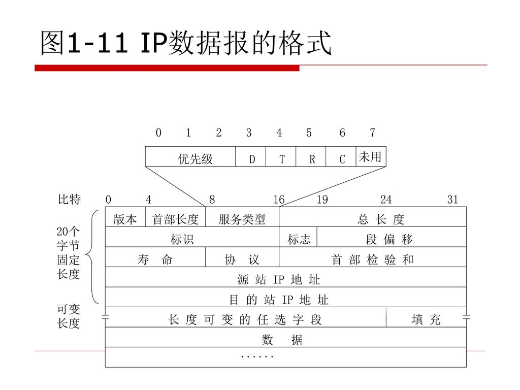 图1-11 IP数据报的格式