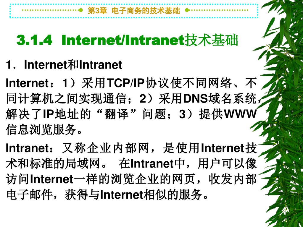 3.1.4 Internet/Intranet技术基础