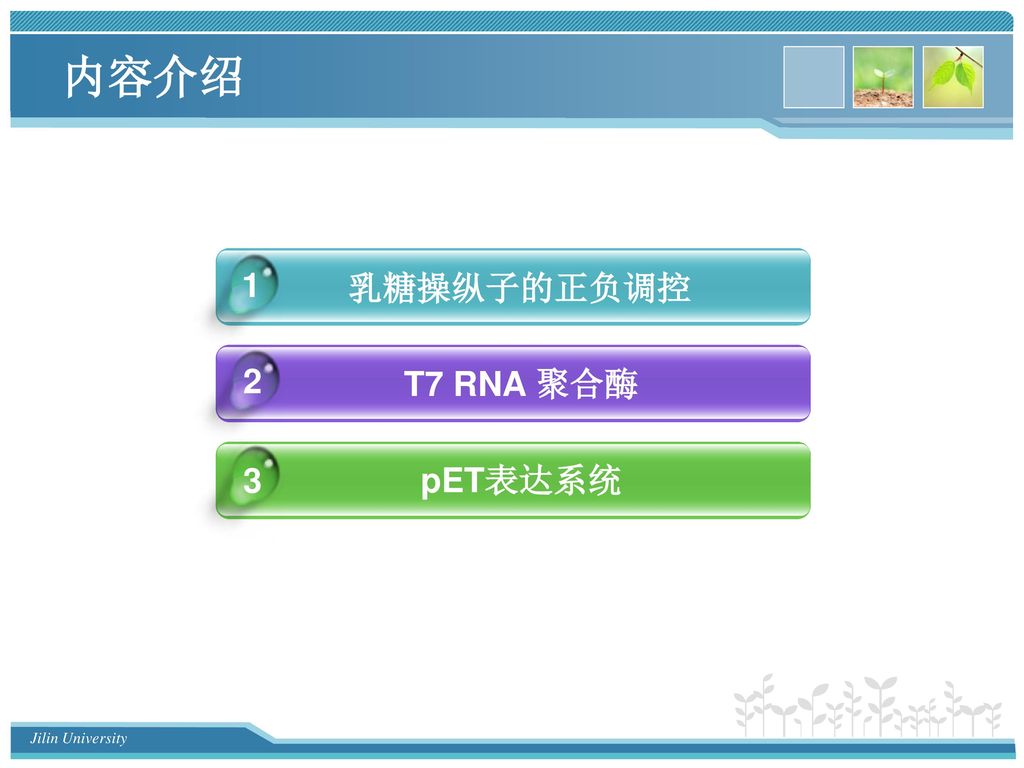 内容介绍 1 乳糖操纵子的正负调控 2 T7 RNA 聚合酶 3 pET表达系统