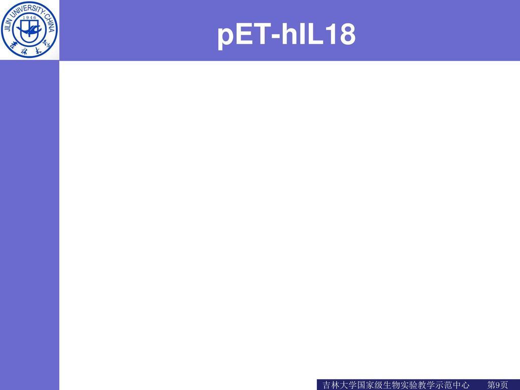 pET-hIL18