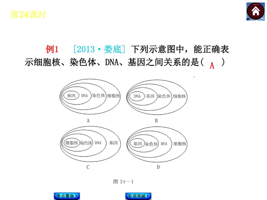 例1 [2013·娄底] 下列示意图中，能正确表示细胞核、染色体、DNA、基因之间关系的是( )