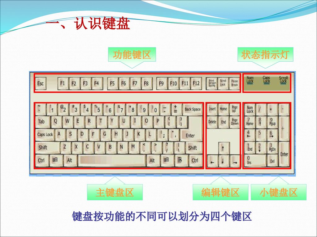 一、认识键盘 功能键区 状态指示灯 主键盘区 编辑键区 小键盘区 键盘按功能的不同可以划分为四个键区