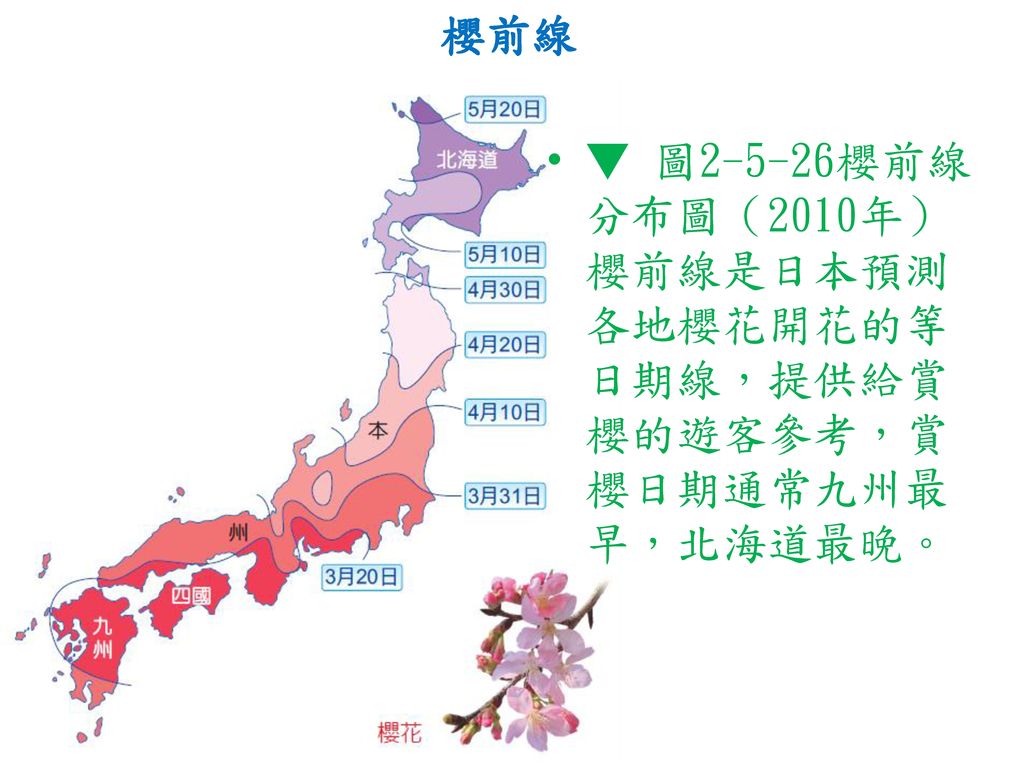 櫻前線 ▼ 圖2-5-26櫻前線分布圖（2010年） 櫻前線是日本預測各地櫻花開花的等日期線，提供給賞櫻的遊客參考，賞櫻日期通常九州最早，北海道最晚。
