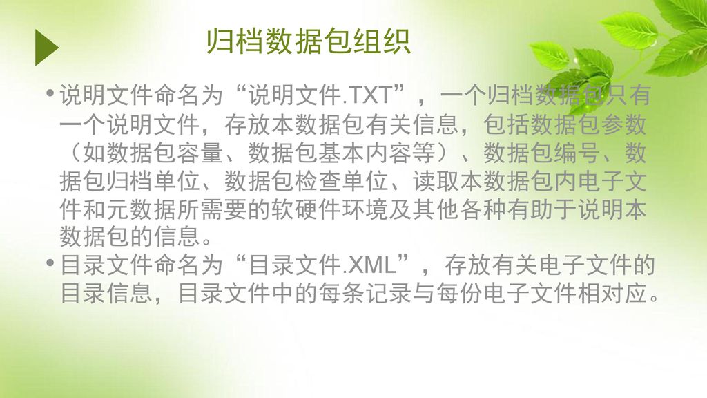 归档数据包组织 说明文件命名为 说明文件.TXT ，一个归档数据包只有一个说明文件，存放本数据包有关信息，包括数据包参数（如数据包容量、数据包基本内容等）、数据包编号、数据包归档单位、数据包检查单位、读取本数据包内电子文件和元数据所需要的软硬件环境及其他各种有助于说明本数据包的信息。