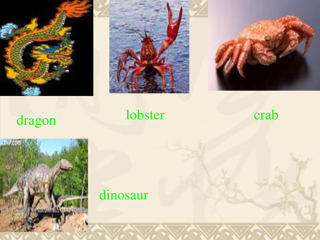 lobster crab dragon dinosaur