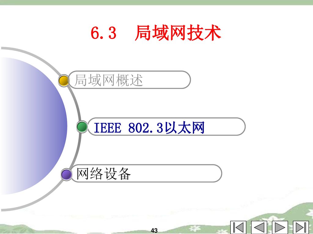 6.3 局域网技术 局域网概述 IEEE 802.3以太网 网络设备 43
