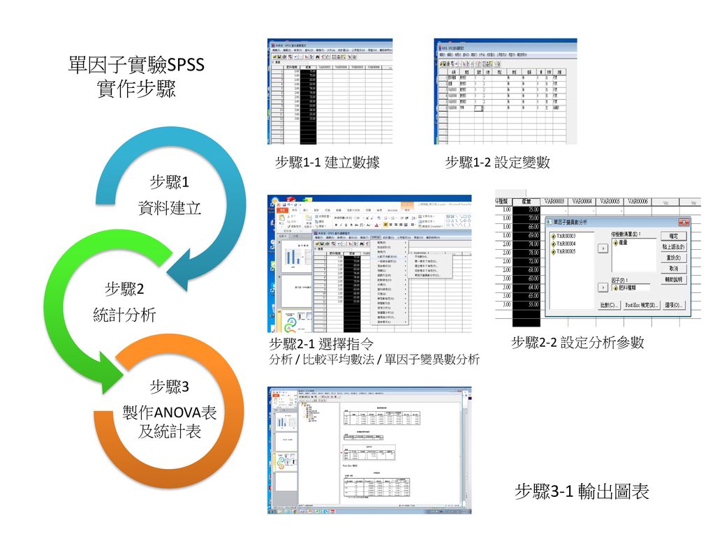單因子實驗SPSS 實作步驟 步驟3-1 輸出圖表 步驟1 資料建立 步驟2 統計分析 步驟3 製作ANOVA表及統計表