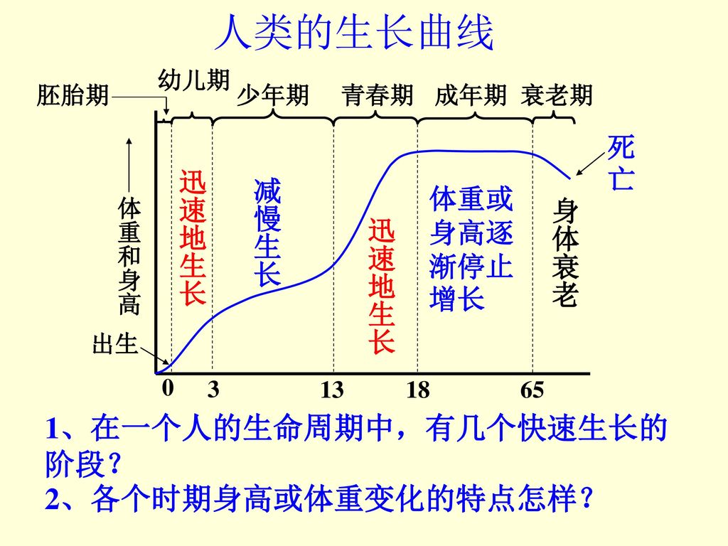 人类的生长曲线 1、在一个人的生命周期中，有几个快速生长的阶段？ 2、各个时期身高或体重变化的特点怎样？ 死亡 迅速地生长 减慢生长