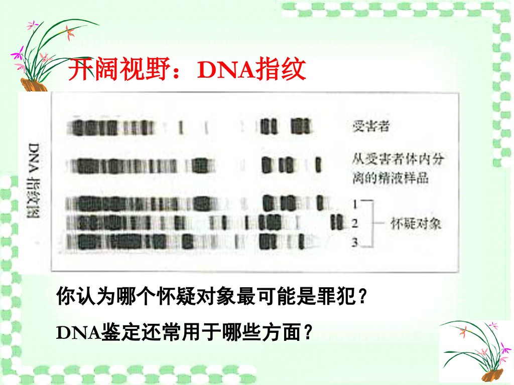 开阔视野：DNA指纹 你认为哪个怀疑对象最可能是罪犯？ DNA鉴定还常用于哪些方面？