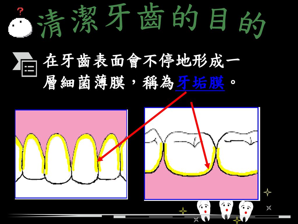 清潔牙齒的目的 在牙齒表面會不停地形成一 層細菌薄膜，稱為牙垢膜。