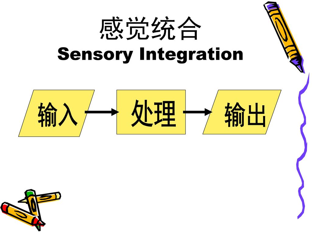 感觉统合 Sensory Integration