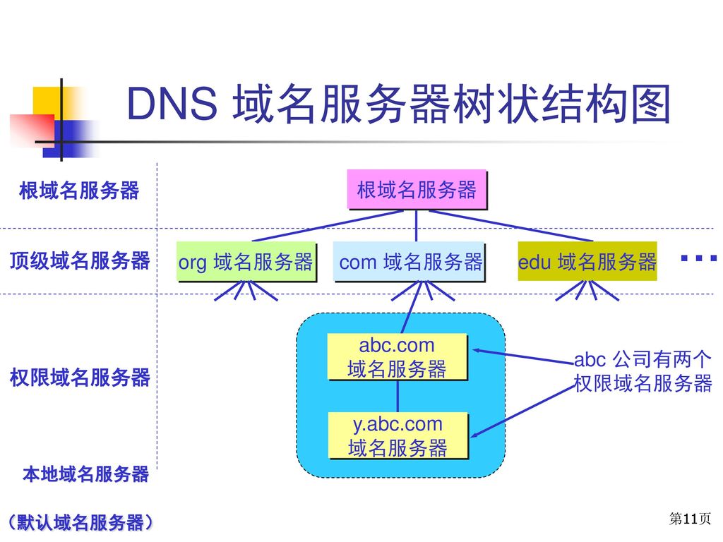 DNS 域名服务器树状结构图 … 根域名服务器 根域名服务器 顶级域名服务器 org 域名服务器 com 域名服务器 edu 域名服务器