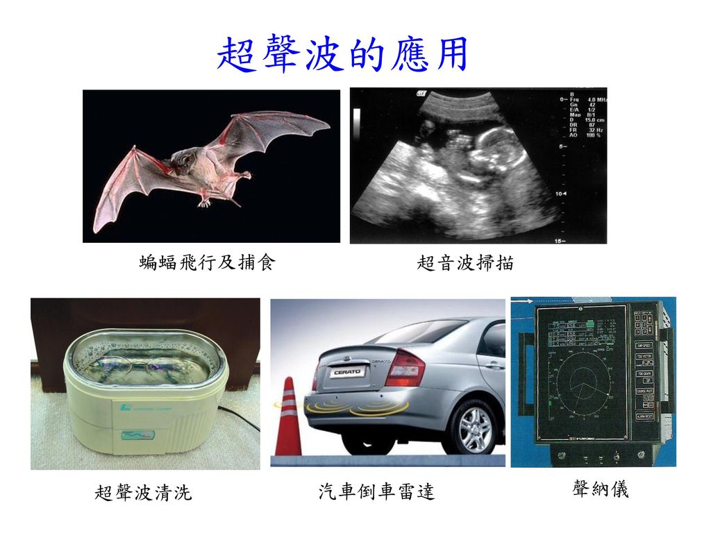 超聲波的應用 蝙蝠飛行及捕食 超音波掃描 聲納儀 超聲波清洗 汽車倒車雷達